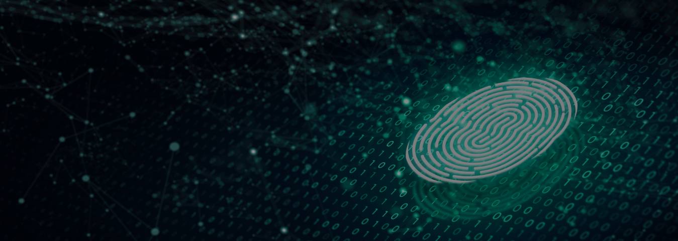 Unveiling the Shadows: Understanding the Reach and Possible Security Threats of Your Digital Footprint