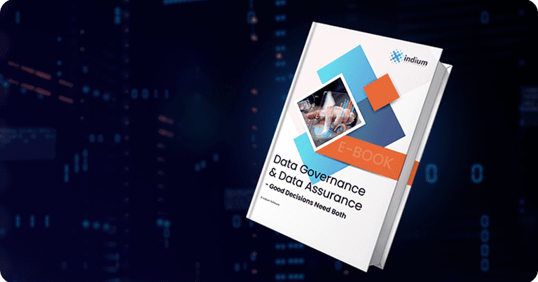 Data Governance and Data Assurance eBook